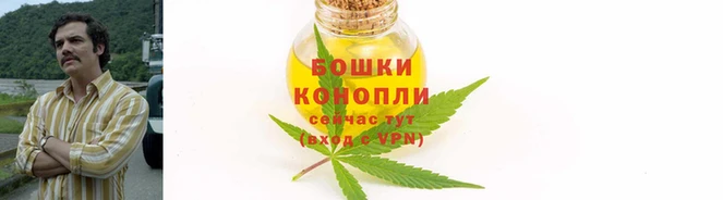 первитин Михайлов