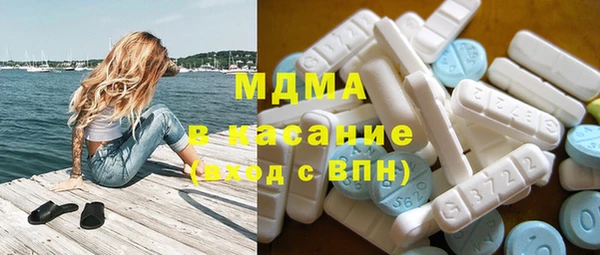 индика Медвежьегорск
