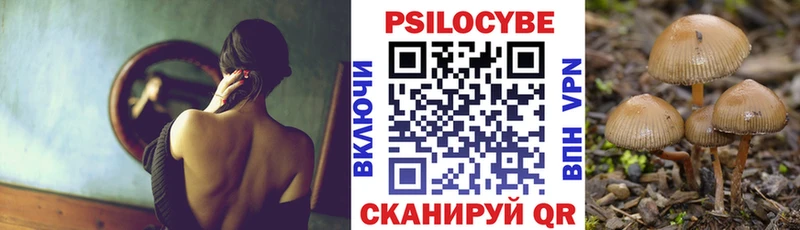 Псилоцибиновые грибы Psilocybe  Шадринск 