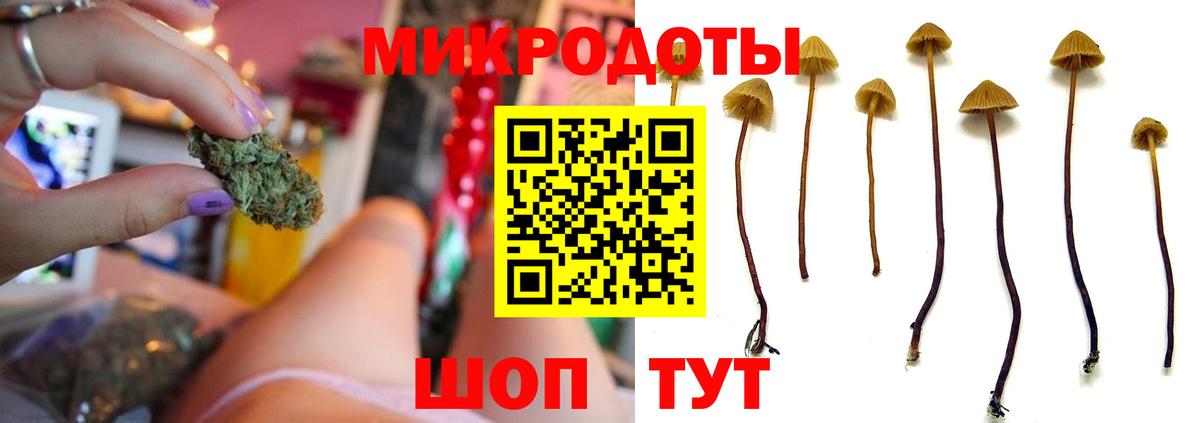 Псилоцибиновые грибы MAGIC MUSHROOMS Шадринск