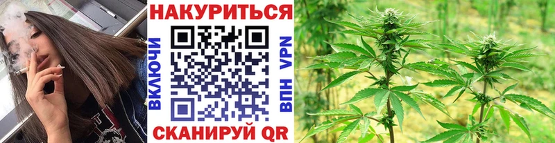 МЕГА ссылки  Шадринск  Конопля планчик 